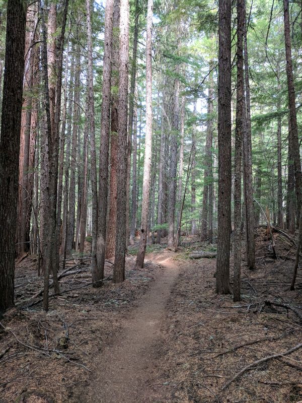 PCT Day 44 - Section OR-C, OR-D,  OR-E